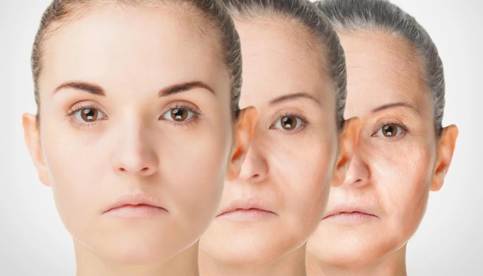 Age Reversal Facial in Sarver